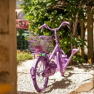 https://apartment-elisa-porec.in-istria.net